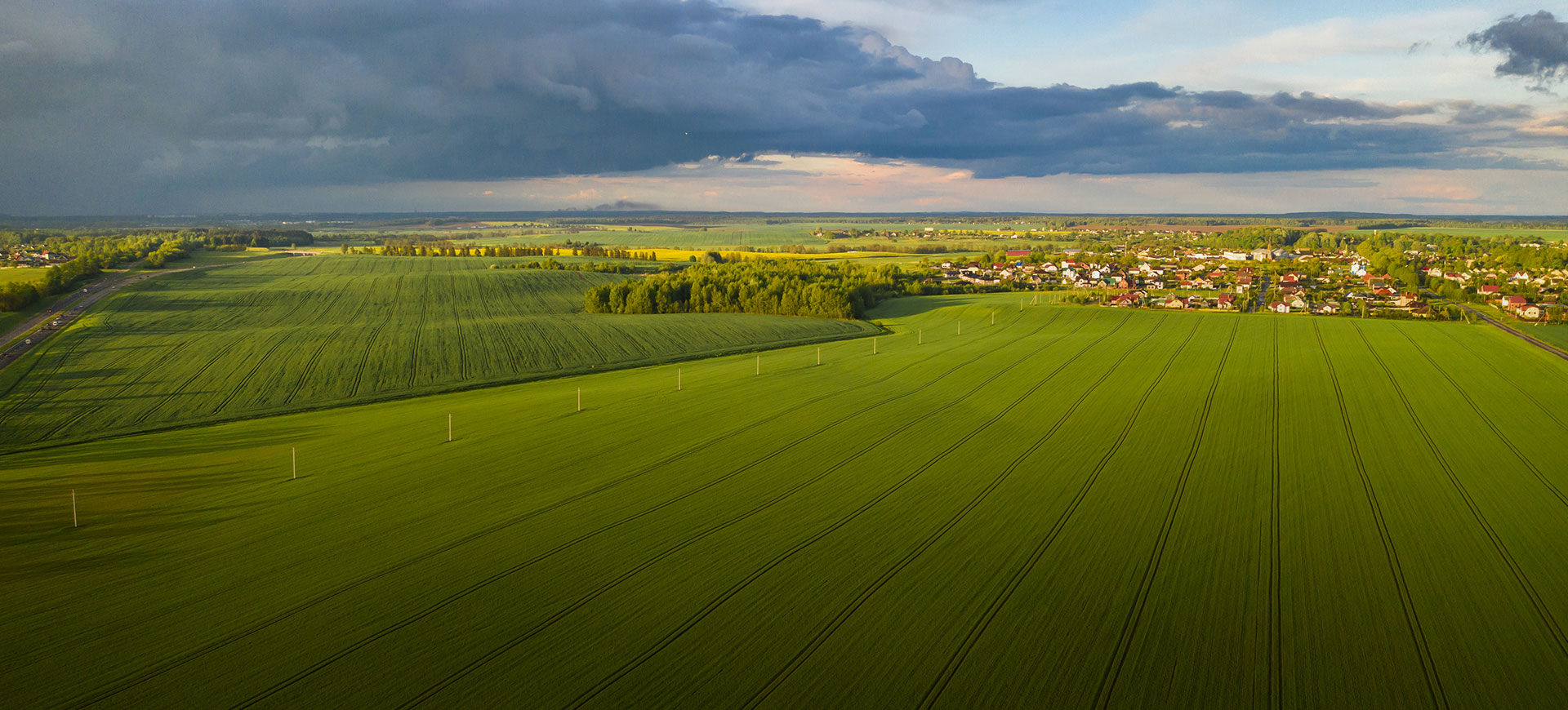浙江大农实业股份有限公司