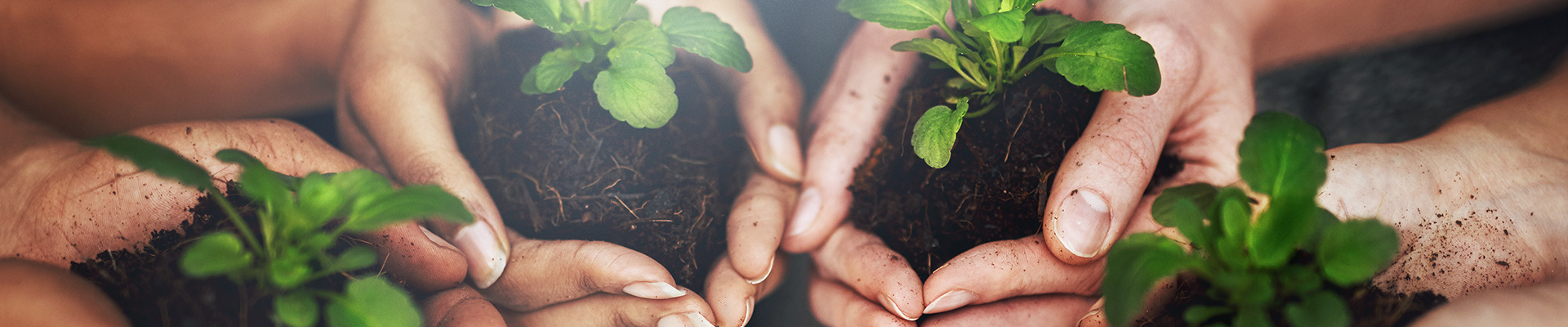 浙江大农实业股份有限公司